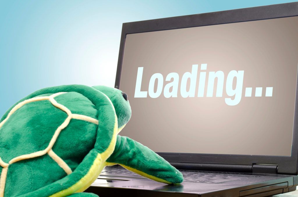 Turtle browsing indicating slow internet