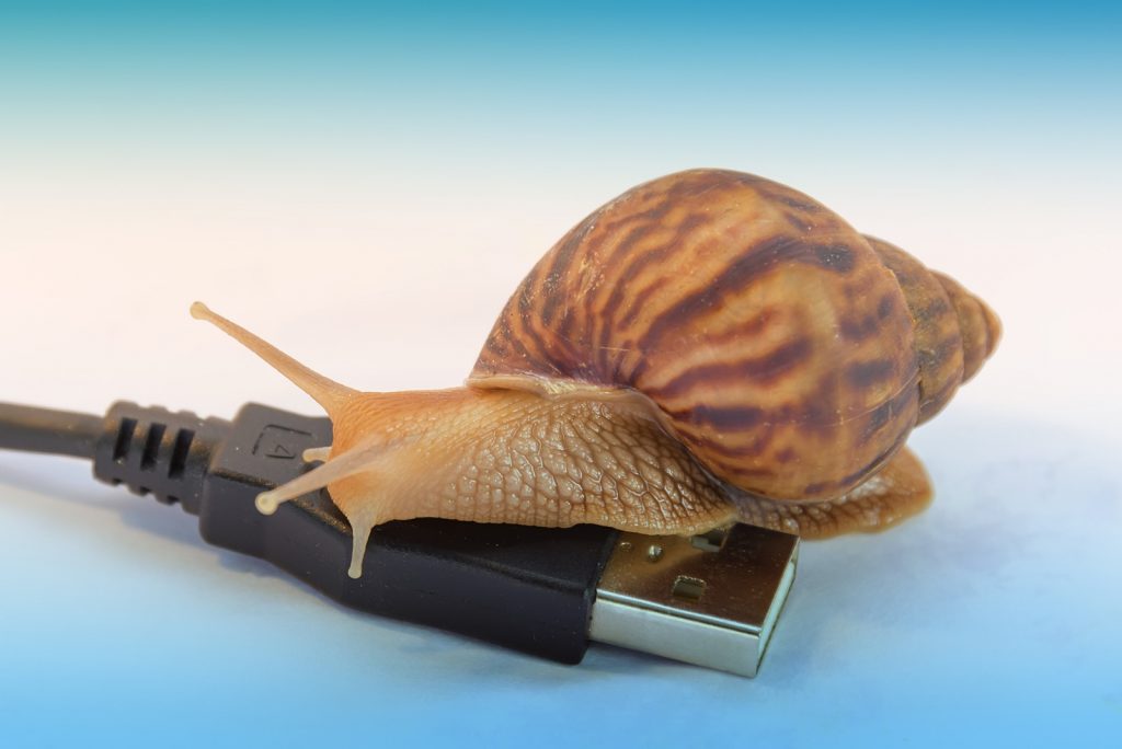 snails and computer cord concept of slow internet