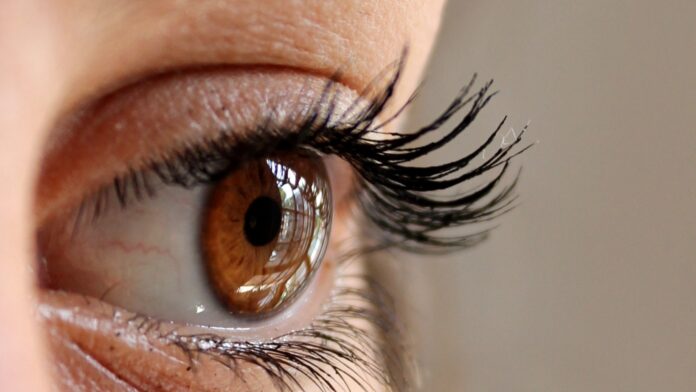 what happens to the eyelashes that go in your eye