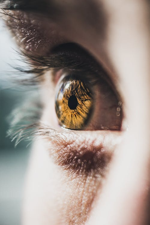 Close up of a person's eye

AI-generated content may be incorrect.